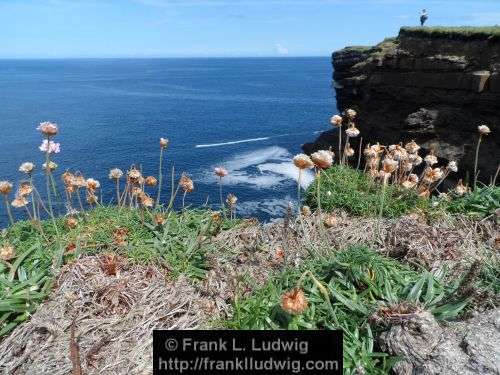 Around Downpatrick Head